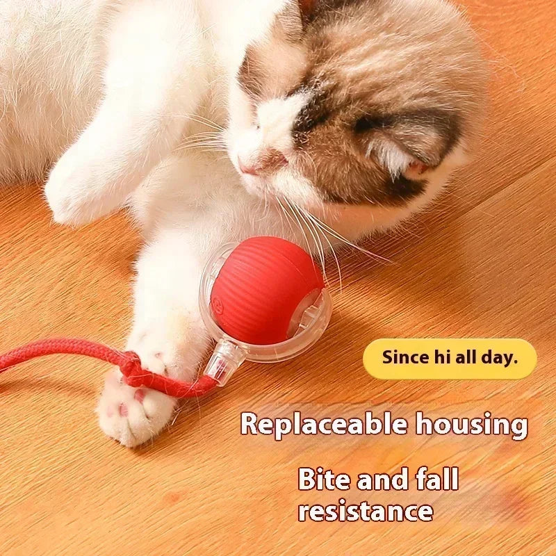 "BIG SELL OF 25% & Free ship" The fake mouse toy ball rolls automatically. Training dogs and cats to hunt mice. Smart charging