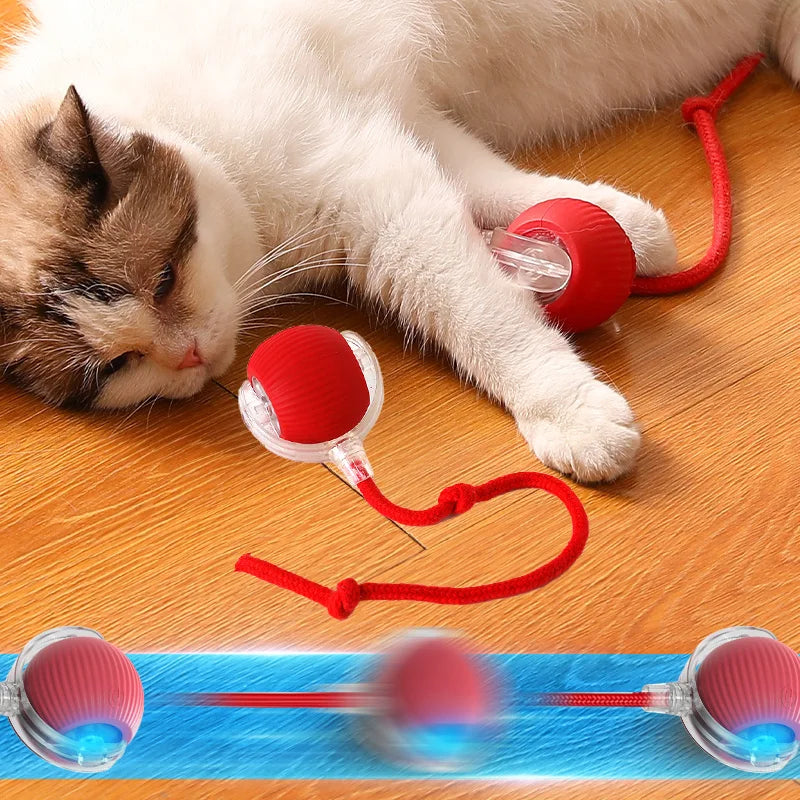 "BIG SELL OF 25% & Free ship" The fake mouse toy ball rolls automatically. Training dogs and cats to hunt mice. Smart charging